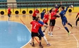 Borovo - Petrijevci 32:28