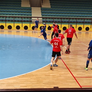Nova Gradiška – Borovo 33:27