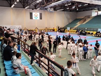 Karate turnir „Kup Vukovara 2025” okupio više od 500 karatista