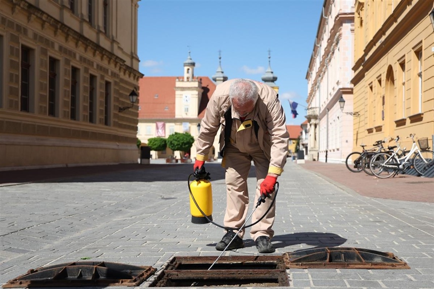U Osijeku danas počinje provedba novih mjera dezinsekcije