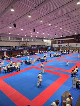 Karatisti Vukovara '91 osvojili četiri medalje na međunarodnom turniru