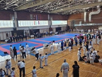 Karate klub Vukovar 91 osvojio četiri zlata na 2. Gorica Openu