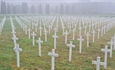 Grad Vukovar započeo s organizacijom ovogodišnjeg obilježavanja Dana sjećanja na žrtvu Vukovara 1991. godine.