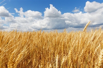 Županija raspisala Javni poziv za potpore poljoprivredi i ruralnom razvoju