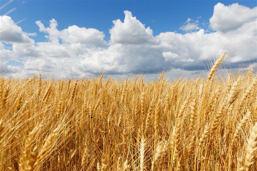 Županija raspisala Javni poziv za potpore poljoprivredi i ruralnom razvoju