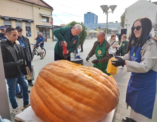U središtu Vukovara bundeva teška 729 kilograma