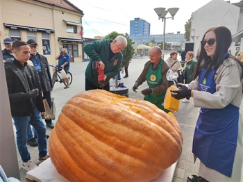 U središtu Vukovara bundeva teška 729 kilograma