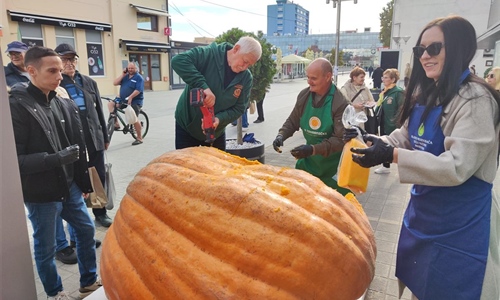 U središtu Vukovara bundeva teška 729 kilograma