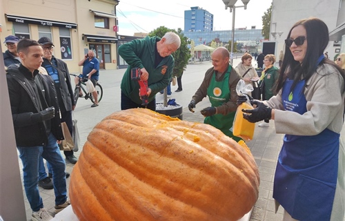 U središtu Vukovara bundeva teška 729 kilograma