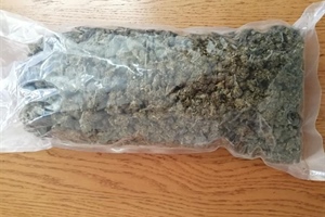 Zaustavljen u prometu s drogom