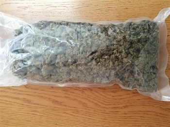 Zaustavljen u prometu s drogom