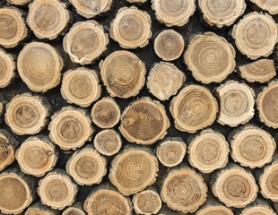 Vlada donijela Akcijski plan vrijedan 30 milijuna eura za razvoj...