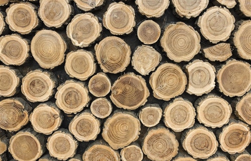 Vlada donijela Akcijski plan vrijedan 30 milijuna eura za razvoj...