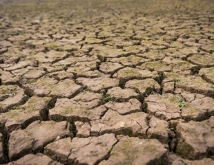 Grad Otok objavio javni poziv za potpore poljoprivrednicima pogođenima...