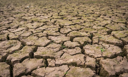 Grad Otok objavio javni poziv za potpore poljoprivrednicima pogođenima...