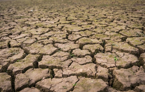 Grad Otok objavio javni poziv za potpore poljoprivrednicima pogođenima...