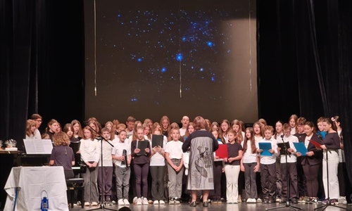 U Hrvatskom domu u Vukovaru obilježen 120. rođendana Dragutina Tadijanovića