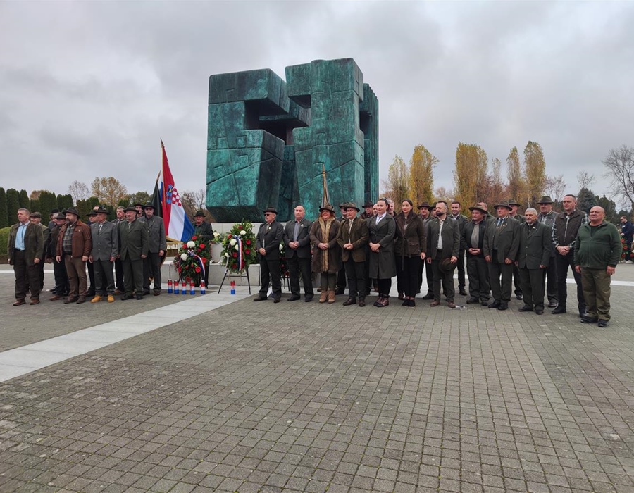 Nema afričke svinjske kuge kod divljih svinja u Vukovarsko-srijemskoj...