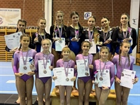 Vukovarske gimnastičarke odlične u Slavonskom Brodu