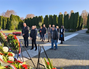 Koordinacija Vijeća i predstavnika nacionalnih manjina...