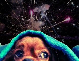 Blagi zakon, teške posljedice