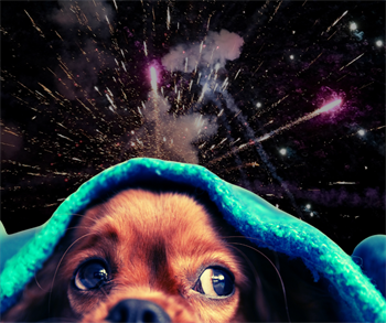 Blagi zakon, teške posljedice