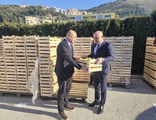 Mandarine u Vukovar, jabuke u Dubrovnik