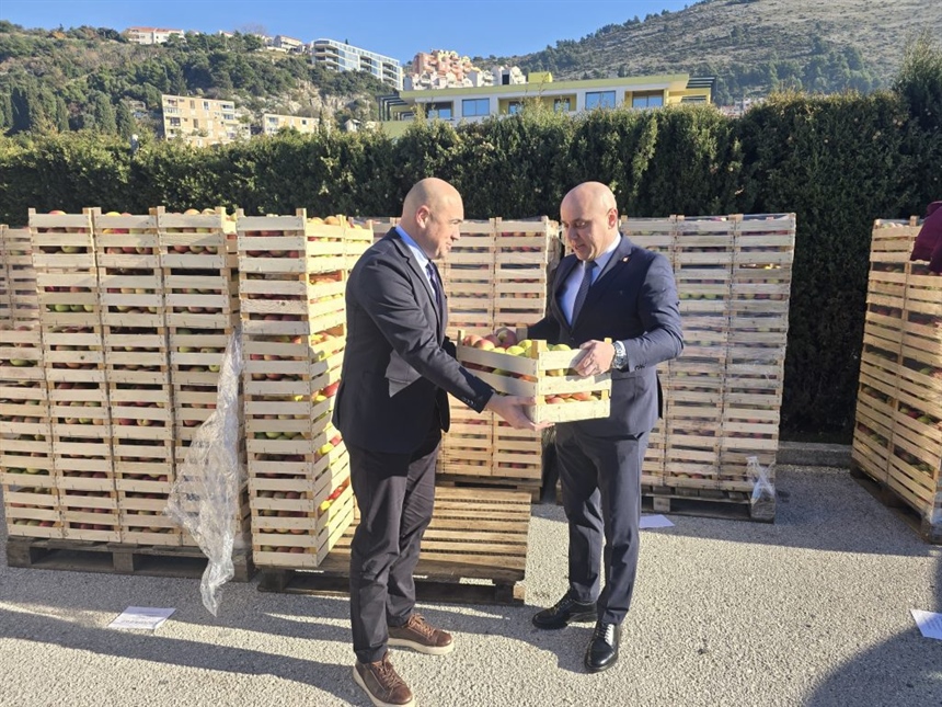 Mandarine u Vukovar, jabuke u Dubrovnik