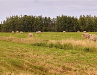 Produljen rok za dostavu dokaza o vlasništvu ili posjedu...