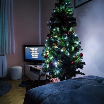 Katolici danas slave Badnjak