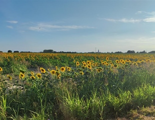 Vlada RH daje hrvatskim poljoprivrednicima u Srbiji pola milijuna eura...
