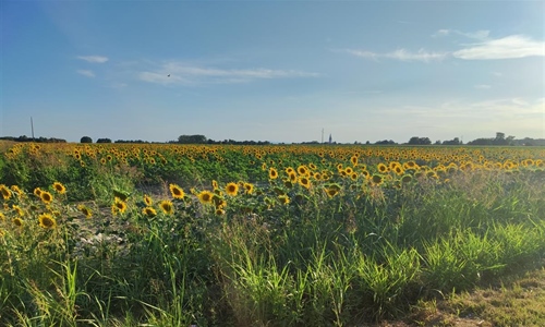 Vlada RH daje hrvatskim poljoprivrednicima u Srbiji pola milijuna eura...