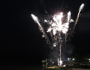 U Novu godinu sa Zlatkom Pejakovićem, Bosutskim bećarima, Miroslavom...