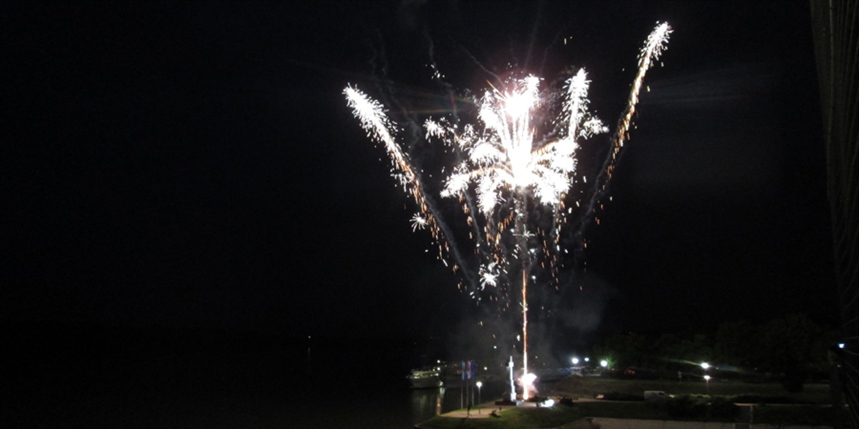 U Novu godinu sa Zlatkom Pejakovićem, Bosutskim bećarima, Miroslavom Škorom...