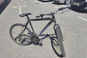 Ozlijeđen pri padu s bicikla