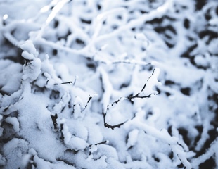 Nastavlja se ledni val