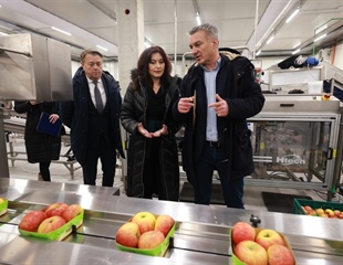 RDC za voće i povrće u Osječko-baranjskoj županiji gotovo u potpunosti...