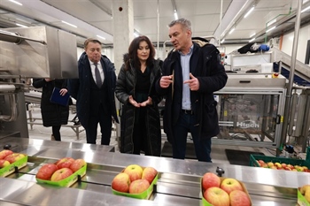 RDC za voće i povrće u Osječko-baranjskoj županiji gotovo u potpunosti popunio kapacitete