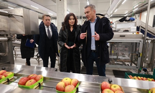 RDC za voće i povrće u Osječko-baranjskoj županiji gotovo u potpunosti...