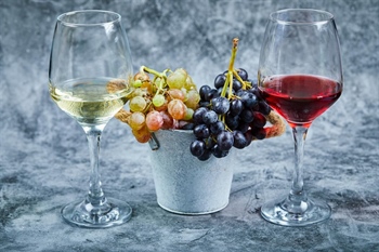 Jedanaesti WineOS ponovno pretvara Osijek u vinsko središte regije