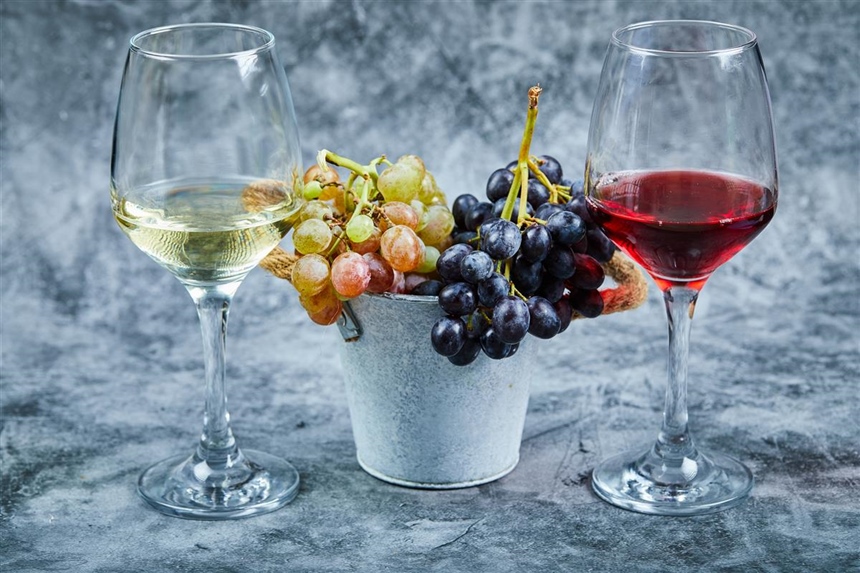 Jedanaesti WineOS ponovno pretvara Osijek u vinsko središte regije