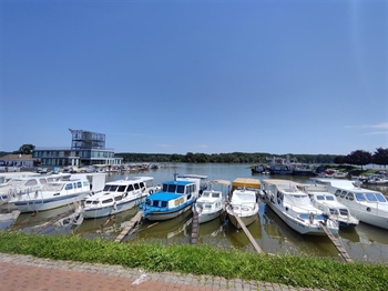 U vukovarskoj lučici došlo do pomora ribe