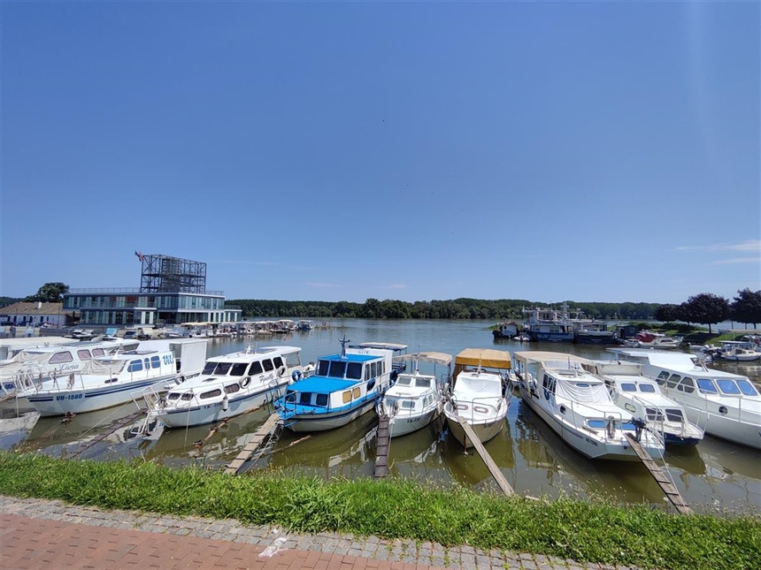 U vukovarskoj lučici došlo do pomora ribe