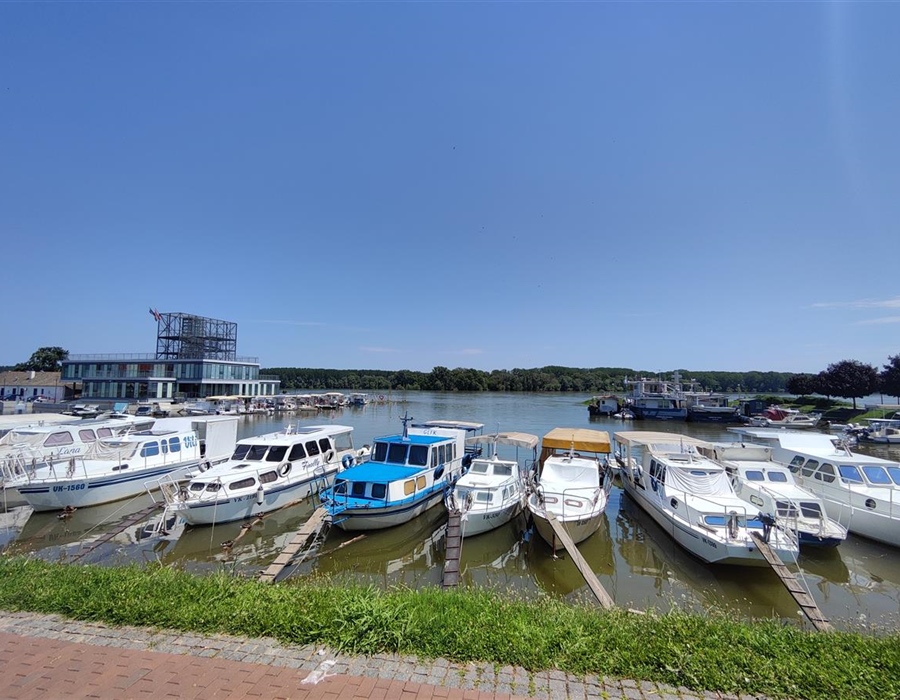 U vukovarskoj lučici došlo do pomora ribe