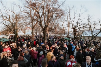 Vinkovo u Iloku ruši rekorde: smještaj rasprodan još od rujna