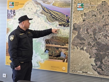 U VSŽ 325 naleta na divljač u 2025.: najrizičnije šumske dionice i noćna vožnja