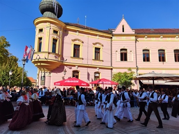 Turizam u Vinkovcima u 2025.: Manje dolazaka, ali dulji boravci i jača kvaliteta ponude