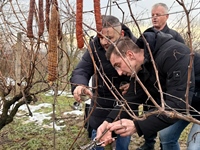 U vinogradu Ivana Cvitkovića u vinkovačkim Borincima simbolično...