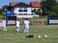 Vukovarsko-srijemska županija osigurala 15.000 eura za besplatne...