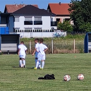 Vukovarsko-srijemska županija osigurala 15.000 eura za besplatne...
